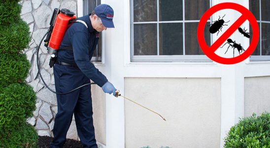 Torbalı Gümüşkurt İlaçlama böcek ilaçlama ve haşere kontrolü — ilaclama-tr.com